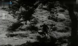 地雷战在线观看,烽火岁月里的英雄传奇