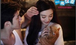 一夜惊喜电影在线观看,浪漫邂逅，激情燃烧的夜晚